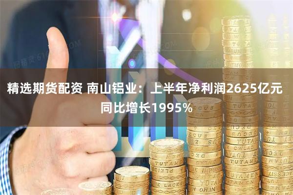 精选期货配资 南山铝业：上半年净利润2625亿元 同比增长1995%