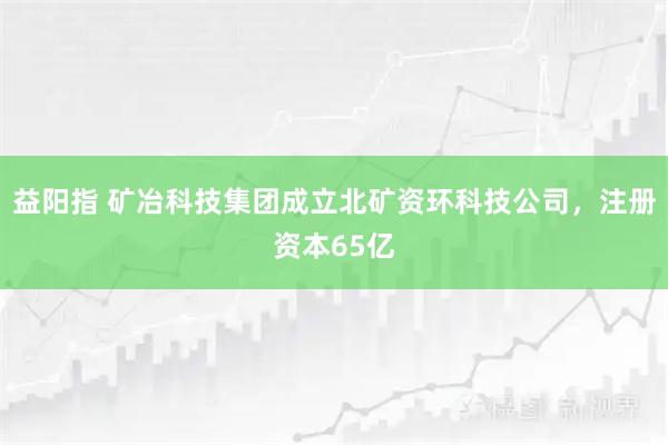 益阳指 矿冶科技集团成立北矿资环科技公司，注册资本65亿